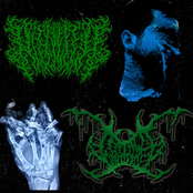 NIHILITH X TENTACLE CENTIPEDE