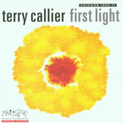 If I Could Make You Mine by Terry Callier