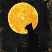 Citrus Moon