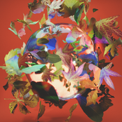 Lift Your Face to the Sun