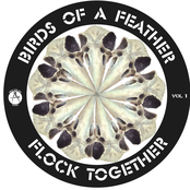 Birds Of A Feather Flock Together Vol. 1
