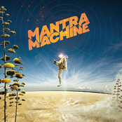 Stinger by Mantra Machine