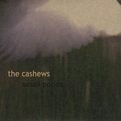 Mountains by The Cashews