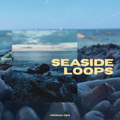 Seaside Loops