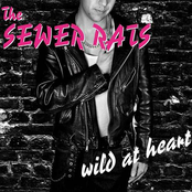 The Sewer Rats: Wild at heart