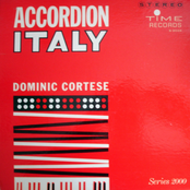 Accordion Italy