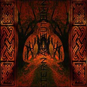 ...from the eastern forest