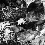 Raid / Hosticide Split