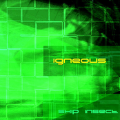 Skip Insect by Igneous