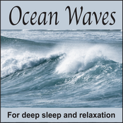 Ocean Waves: For Deep Sleep and Relaxation, Echoes of Nature Sounds