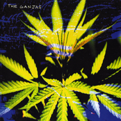 Rock De La Ganja by The Ganjas