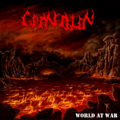 Word at War