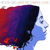 When The Cardinals Come