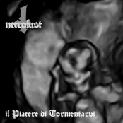 Il Piacere di Tormentarvi