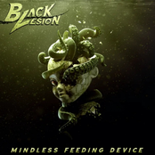 Mindless Feeding Device