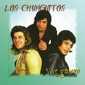 Tormentos Por Ti by Los Chunguitos