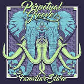 Perpetual Groove: Familiar Stare