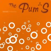 the pum's