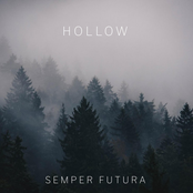 Hollow