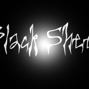 YouTube Songs