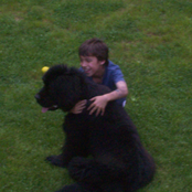 My Childhood Dog