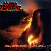 Shades Below by Mucus Membrane