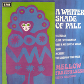 A Whiter Shade Of Pale