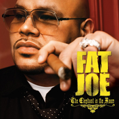 Fat Joe: The Elephant In The Room