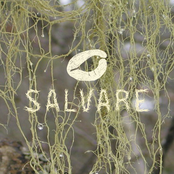 Salvare
