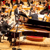 The purple fuchsia bled upon the ground