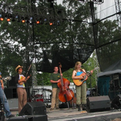 Robinella & The Cc String Band