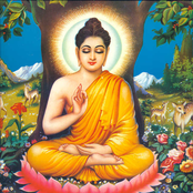 buddhattitude