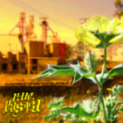 por tanto ruido nos encontraron