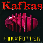 Hirnfutter