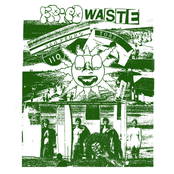 Fried Waste split