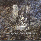 The Black Acts by Exsanguinate