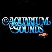 Aquarium sounds