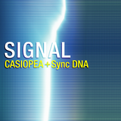 Signal (with Synchronized DNA)