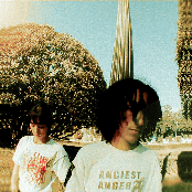 Jardim