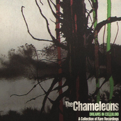 Everyday I'm Crucified by The Chameleons