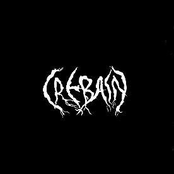 The Night of the Stormcrow