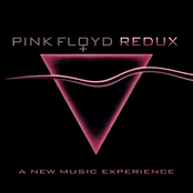 Pink Floyd Redux