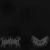 Submit Yourself to the Void