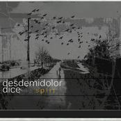 Split DesdeMiDolor/Dice