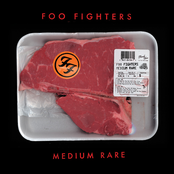 Bad Reputation by Foo Fighters