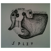 Velocirapetor/Crustaceanation Split