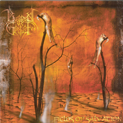 Dead Soul Decline by Burden Of Grief