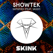 showtek feat. vassy