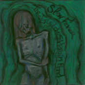 Slow Fever