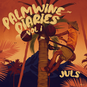 PALMWINE DIARIES VOL 1